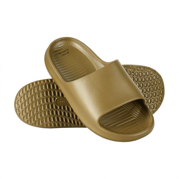EVA Slides